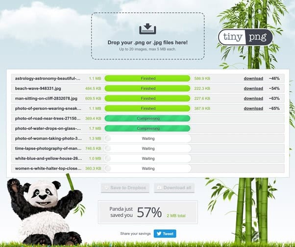 Invloed van afbeeldingen op je website 2 TinyPNG