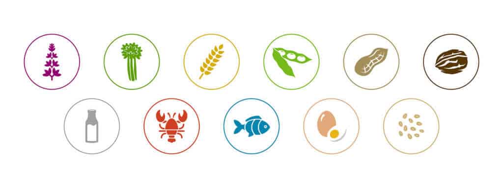 6 Belangrijke tips voor een restaurant website 2 foodblogcategories