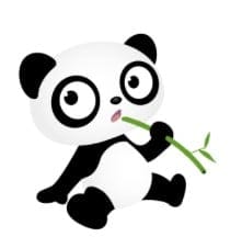 Panda Google
